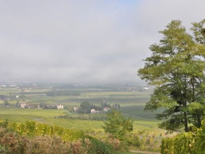 Galerie photos